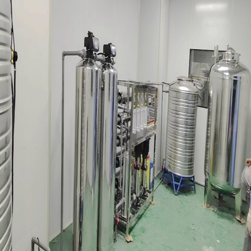 新鄉長垣衛材廠0.5噸雙級反滲透設備